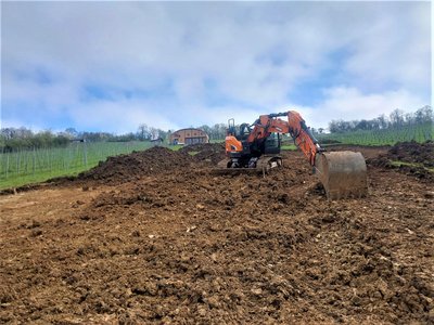 Weinberg Rigolen in Ingelfingen